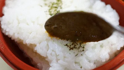 정통 포크 카레 덮밥 양 정보