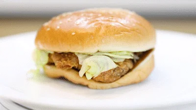 Burger King Chicken Burger Evaluation Analysis