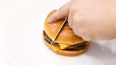 Burger visual observation notes