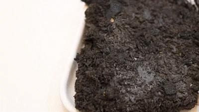 A strategy is needed to address past controversies