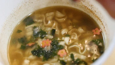 Udon broth overall review