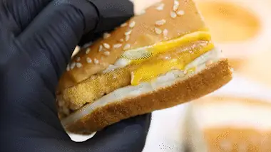 明確な構成のバーガーレビュー