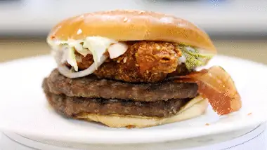 バーガーの価格比較の内容