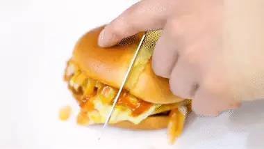 Resumen de las características de la hamburguesa