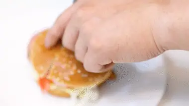 버거 구성 재료 설명